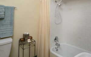 Cottage Second Bathroom