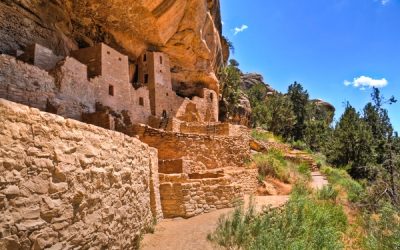 National Parks Turn 100