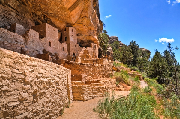 National Parks Turn 100