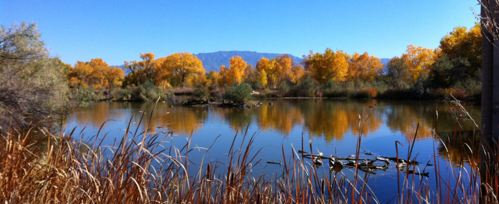 best drives in New Mexico