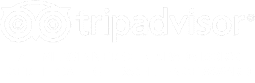 TripAdvisor Logo