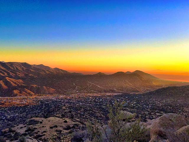 blog_cta_availability