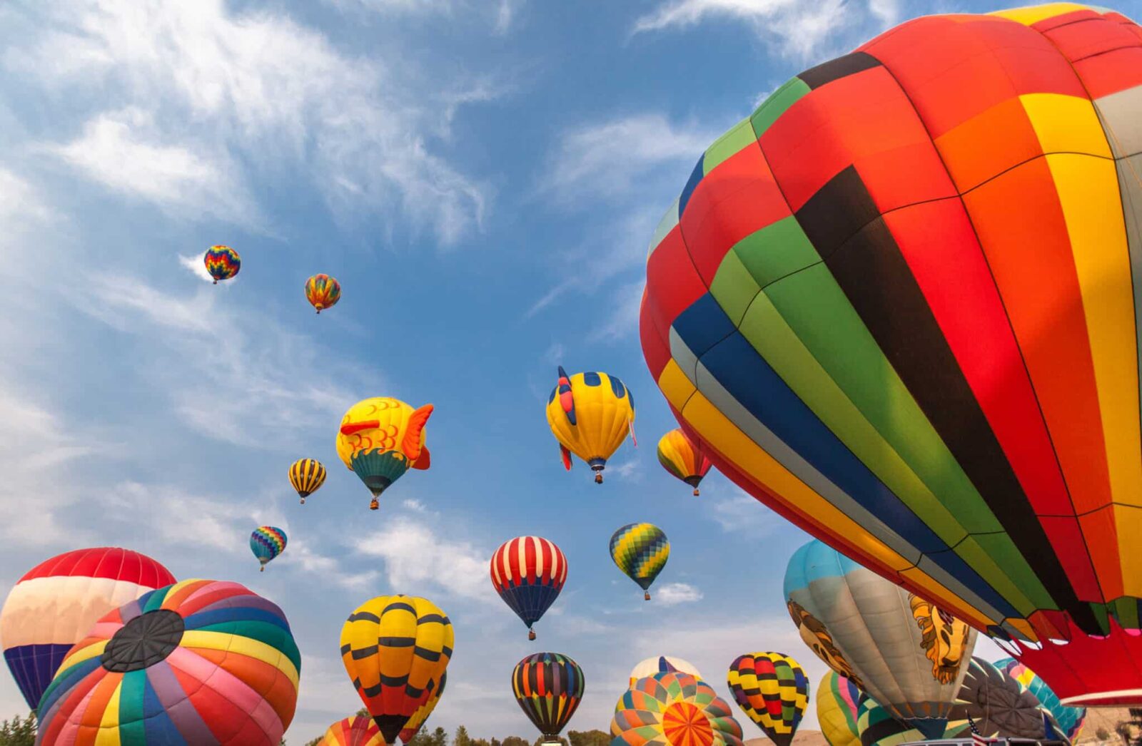 Mass ascension hot air balloon rides in Albuquerque.
