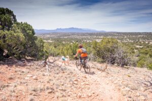 A man and a dog on one of the best mountain biking trails in Farmington, NM, with mountain views and desert terrain.