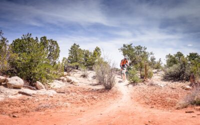 Best Mountain Biking Trails Near Farmington, NM