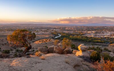 The Complete Guide to Visiting Farmington, NM